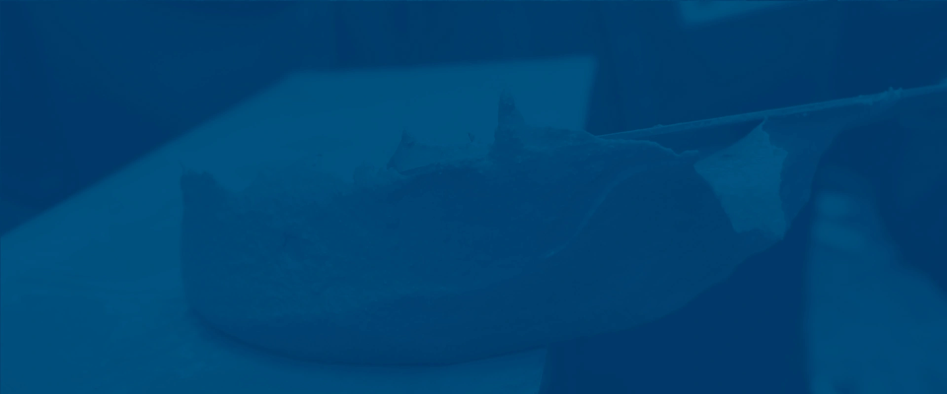 Emcefix-Spachtel F extra fein